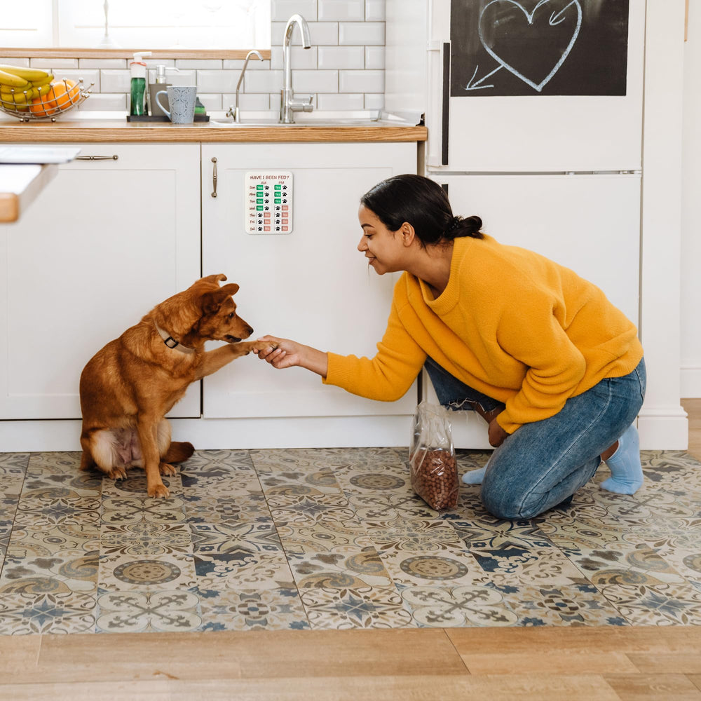 EliteSign dog feeding reminder doubles as daily pill reminder for routines
