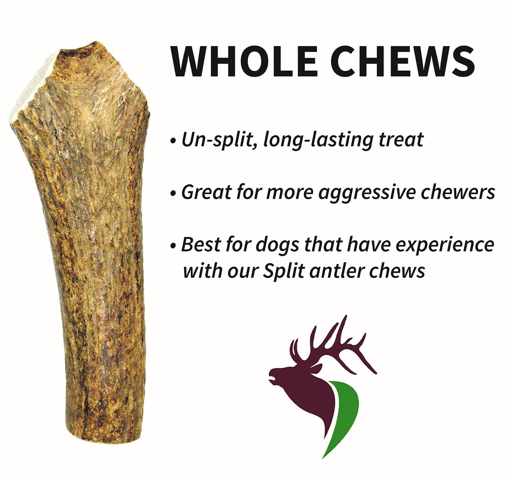 Elkhorn Premium Chews no-mess, no-odor elk antler alternative