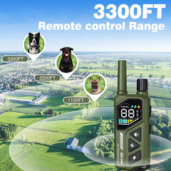 ELOOP collar reflective strip increases visibility to drivers at night.
