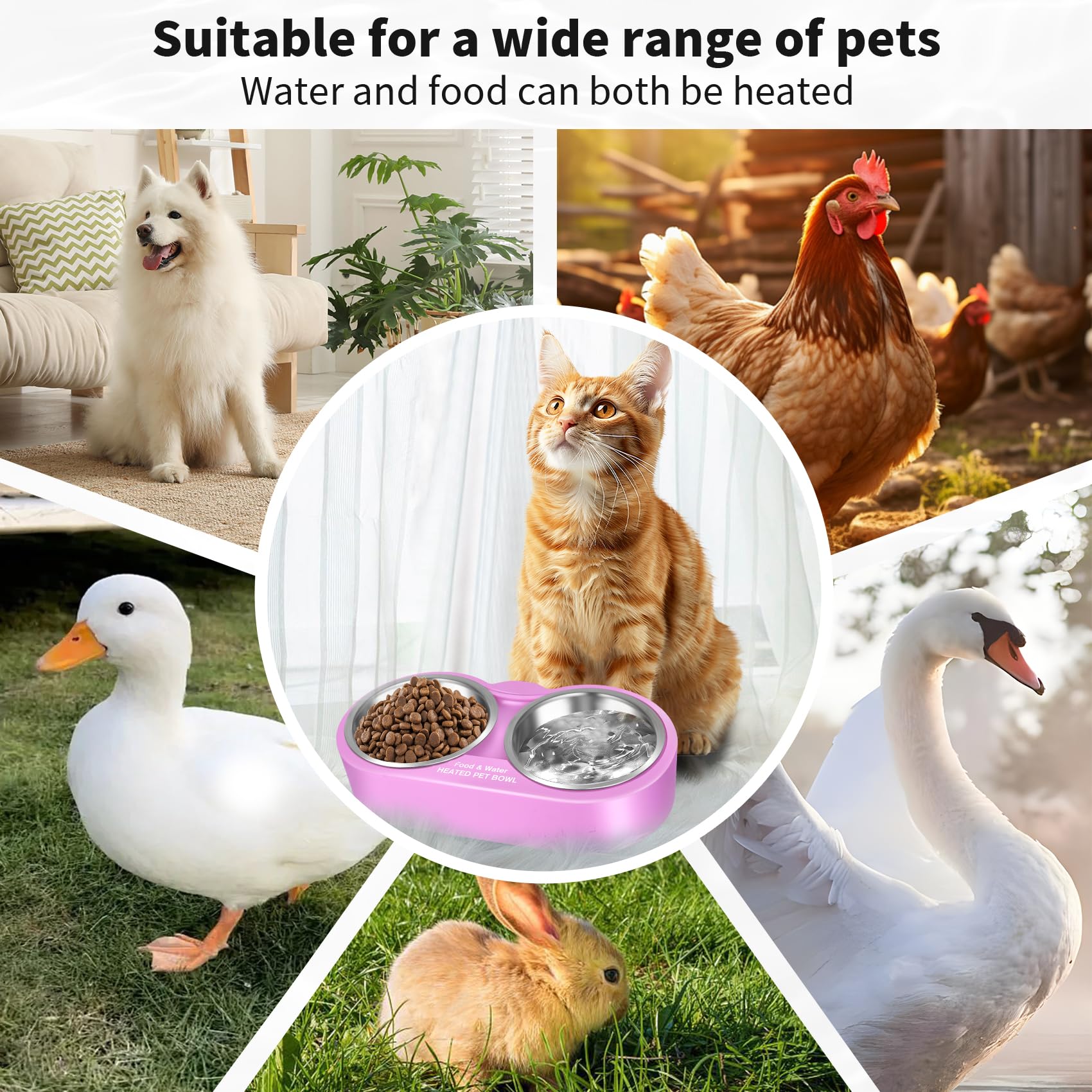 Eloslos 48 oz capacity serves multiple pets or outdoor wildlife.