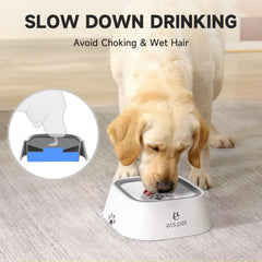 ELS PET No Spill Bowl with a floating disk demonstrating slow drinking and spill prevention.