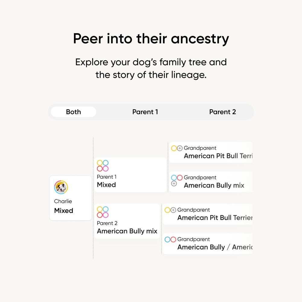 Embark breed-identification-kit-relative-finder-screen shows relatives for family discovery.