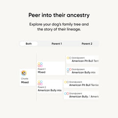Embark breed-identification-kit-relative-finder-screen shows relatives for family discovery.