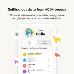Embark breed-identification-kit-swab enables quick cheek swab for breed data.