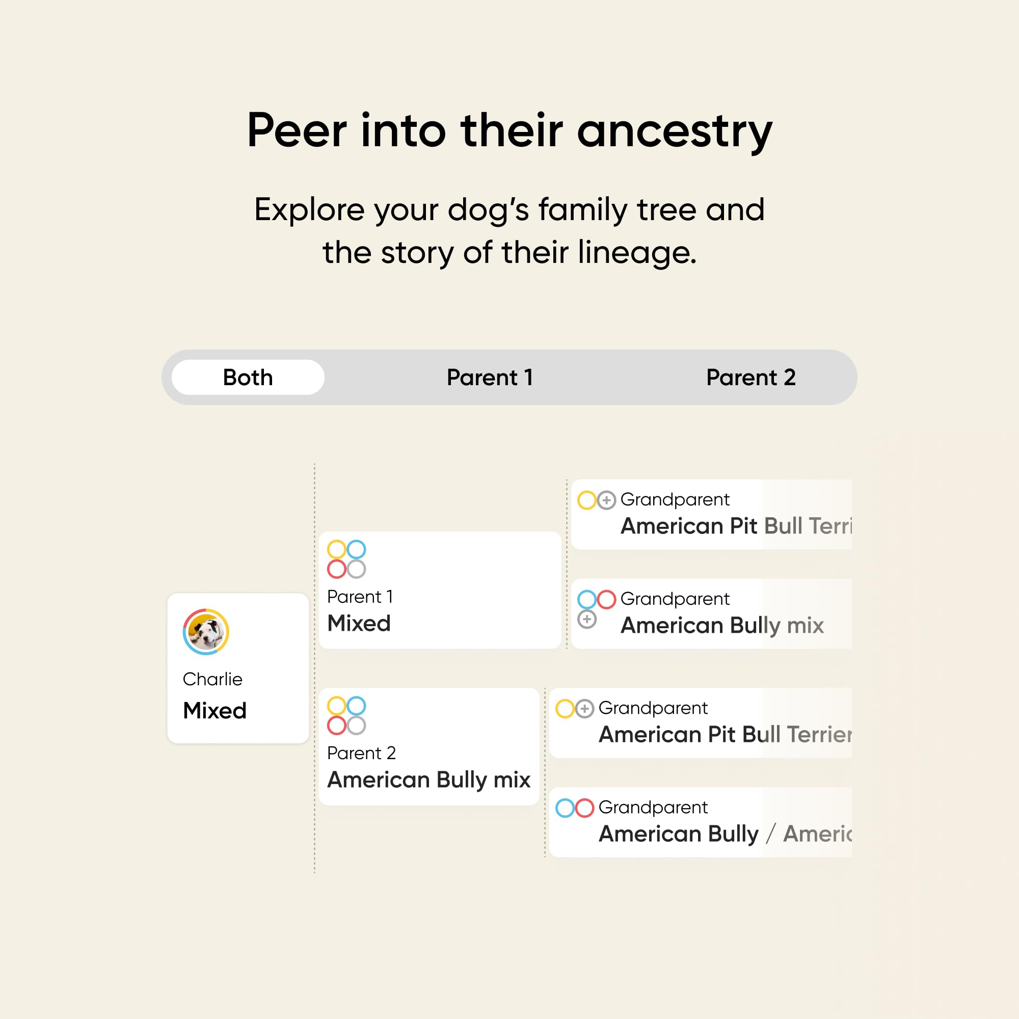 Embark allergy scores highlighting environmental and food risk insights.