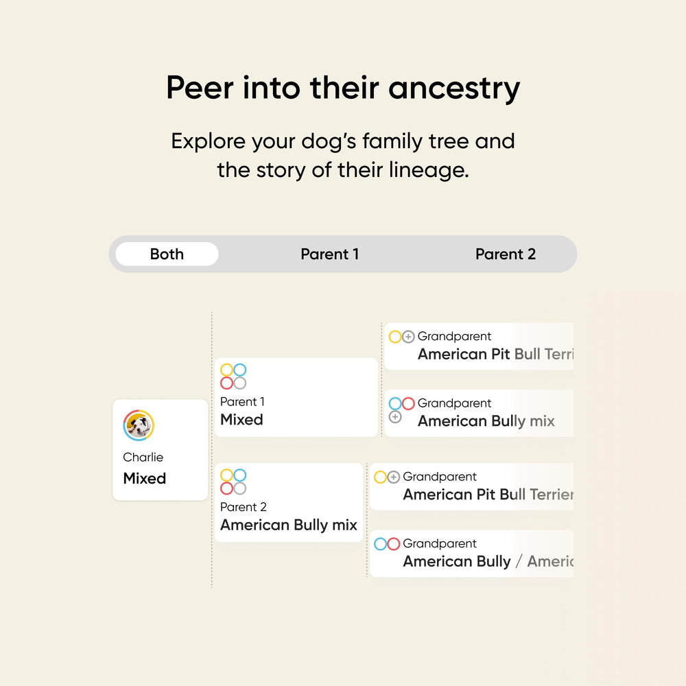 Embark allergy scores highlighting environmental and food risk insights.