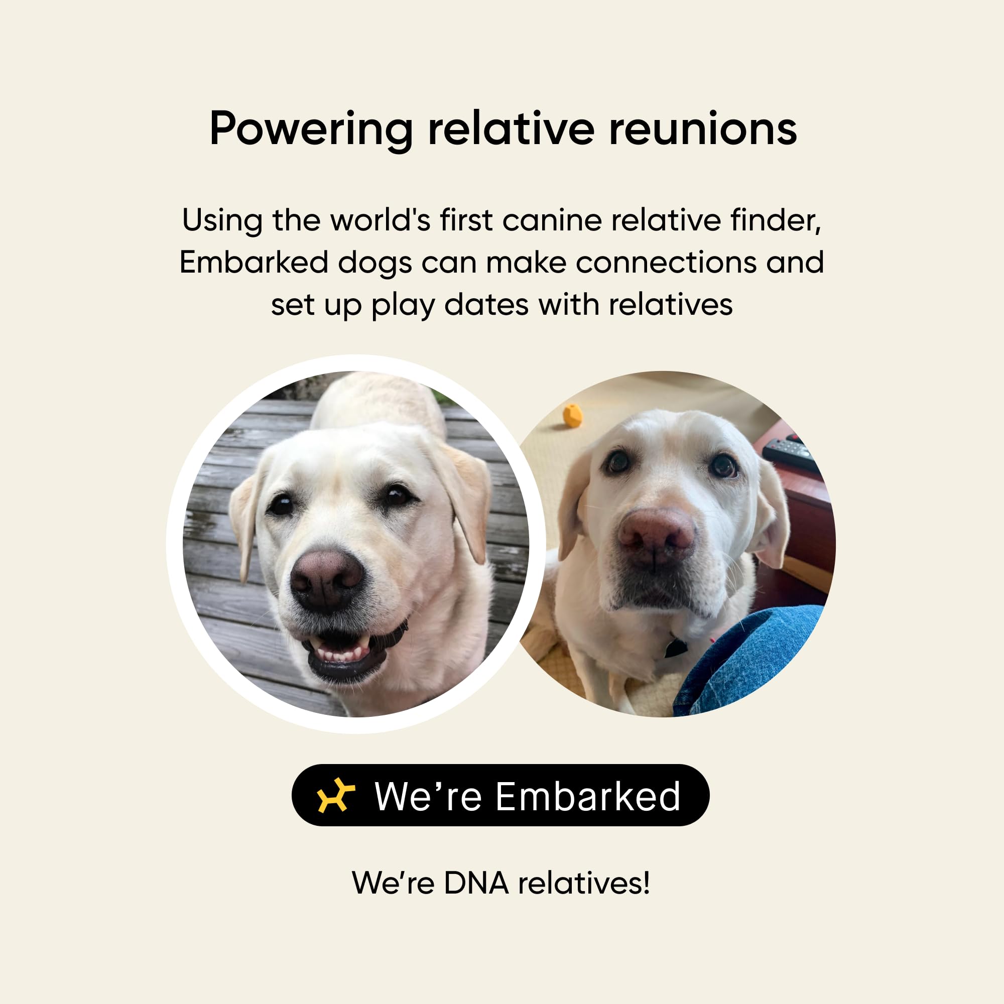 Embark Relative Finder connecting with canine relatives using DNA.
