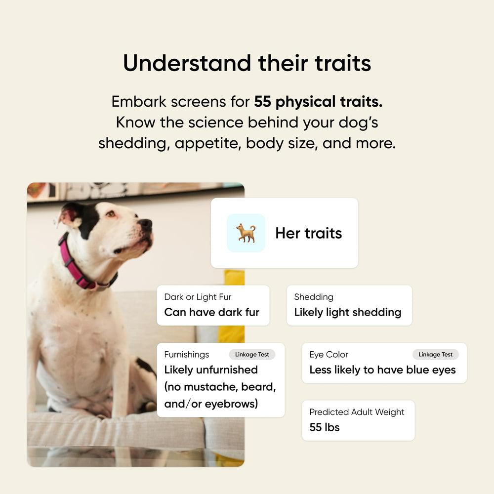 Embark results screen displaying breed mix and health insights.