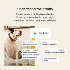 Embark results screen displaying breed mix and health insights.