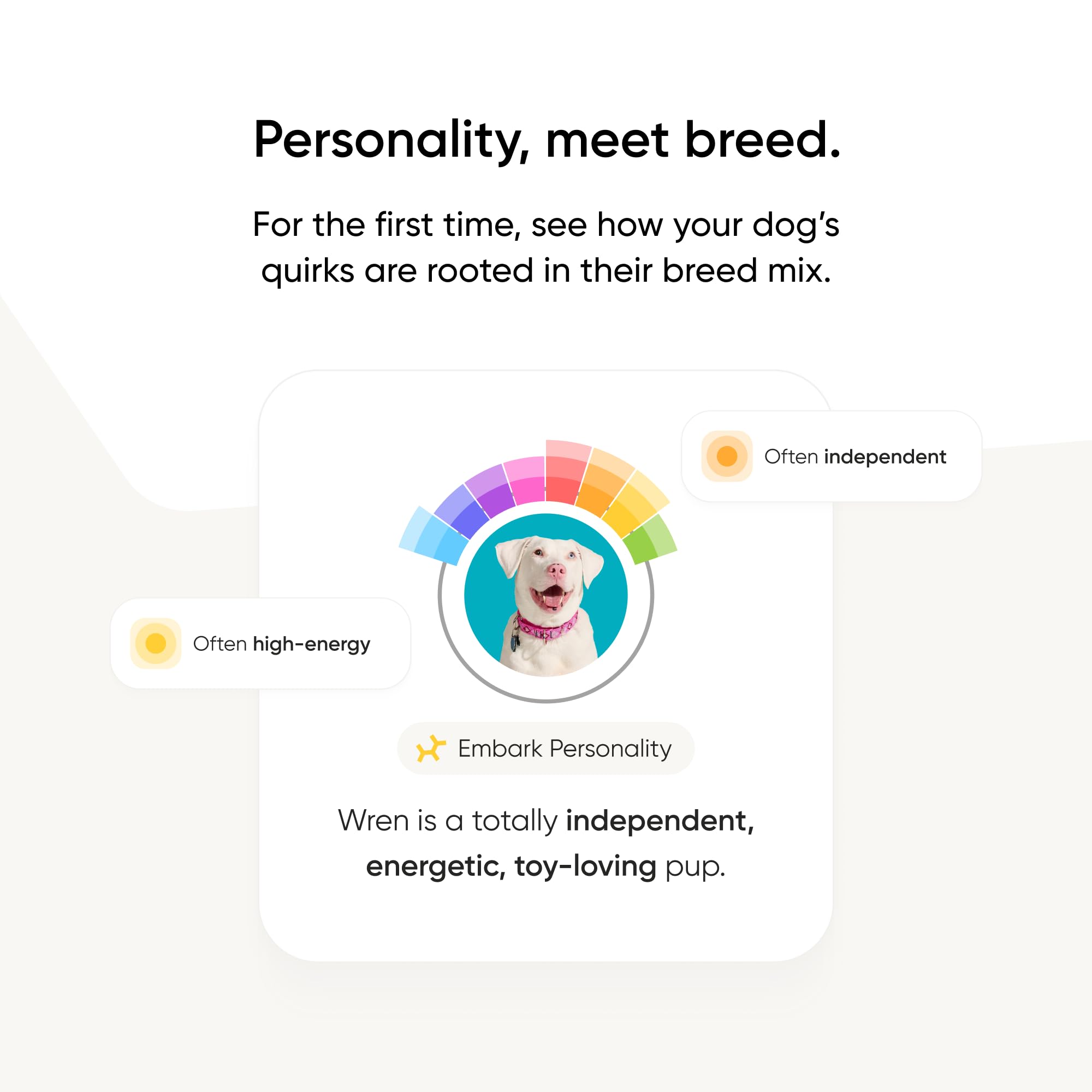 Embark vet support chat with experts ready to assist.