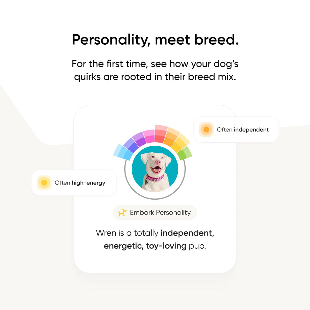 Embark vet support chat with experts ready to assist.