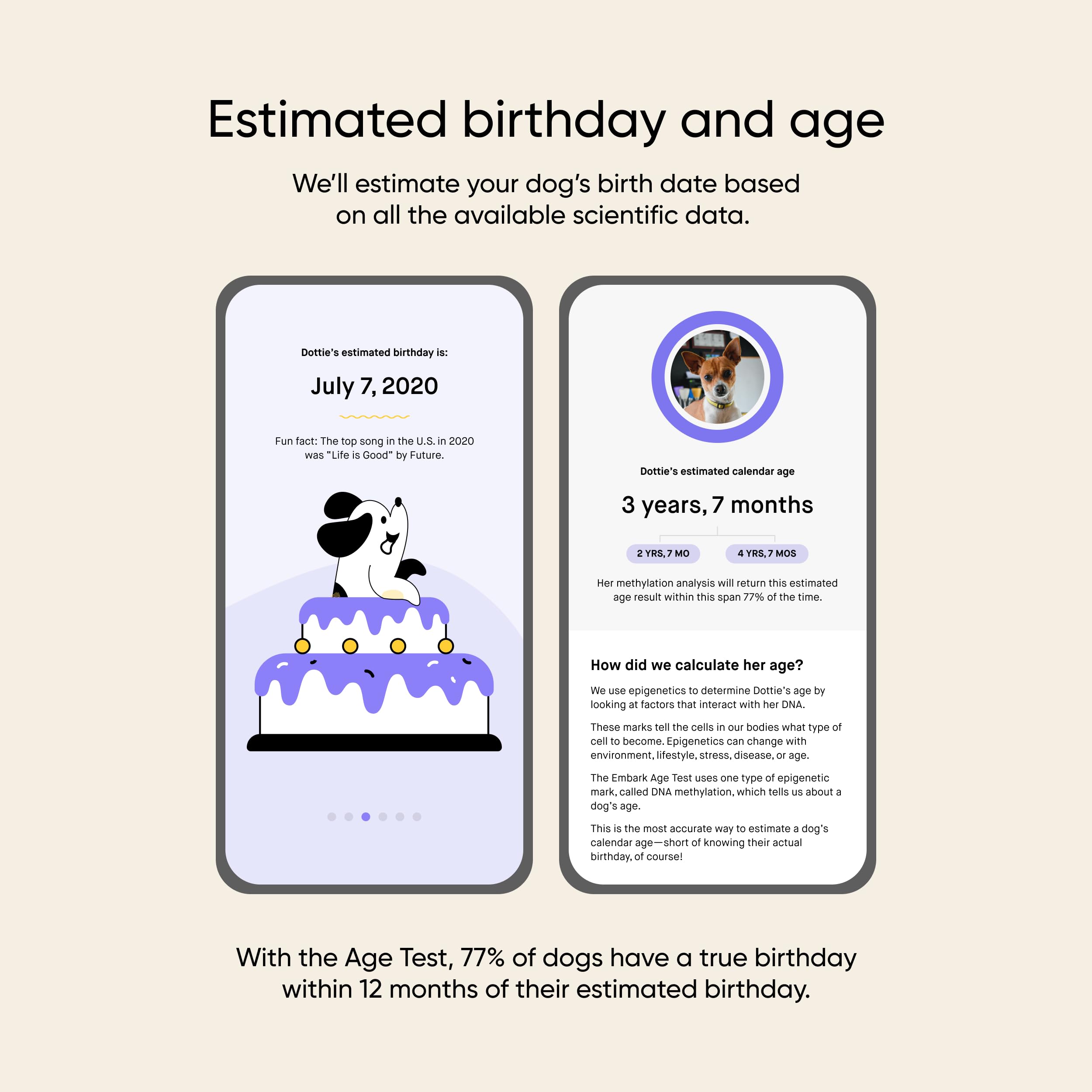 Embark dog age test kit activation steps for fast start