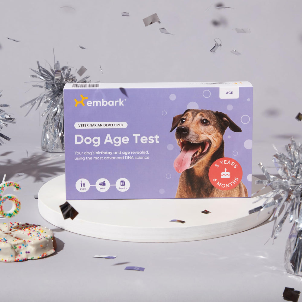 Embark life stage tips help tailor diet and exercise