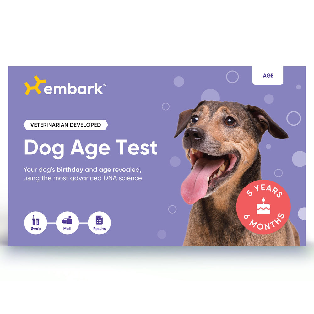 Embark dog age test kit packaging ready for quick setup