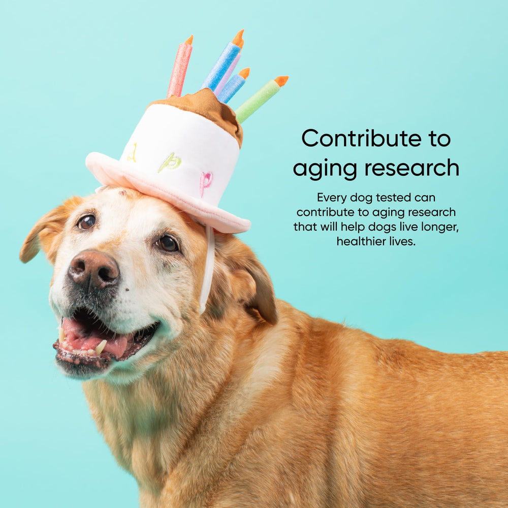 Embark results page estimates calendar age and life stage tips