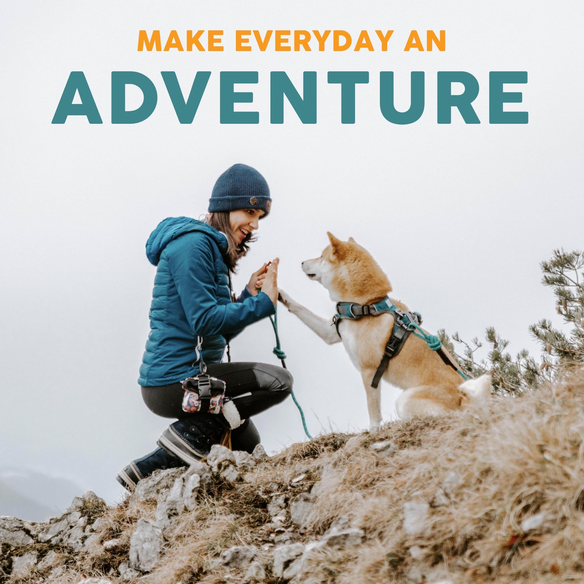 Embark Pets Adventure Dog Collar durable materials for long-lasting wear