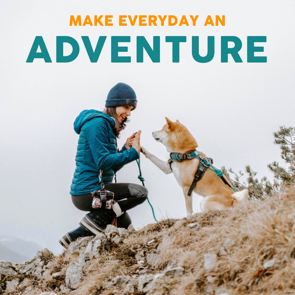 Embark Pets Adventure Dog Collar durable materials for long-lasting wear