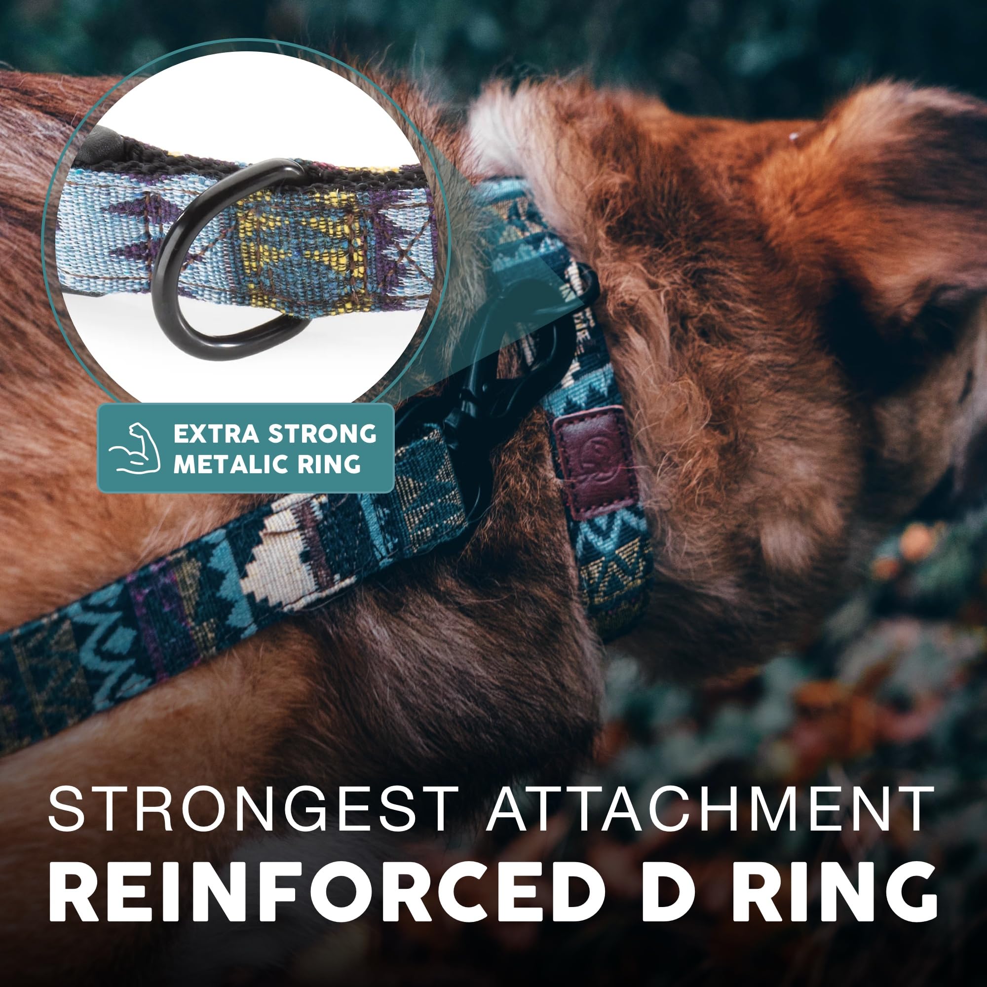 Embark Pets Adventure Dog Collar strong buckle for durable pulls