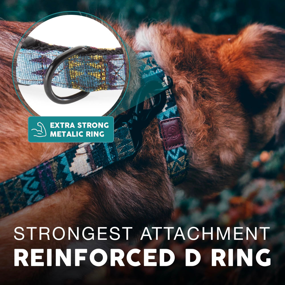 Embark Pets Adventure Dog Collar strong buckle for durable pulls