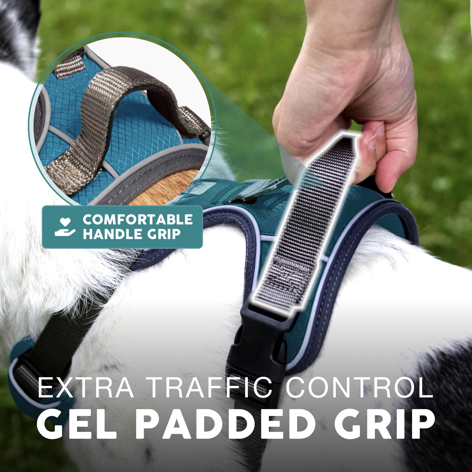 Adjustable straps on Embark Pets Adventure Harness for a precise fit