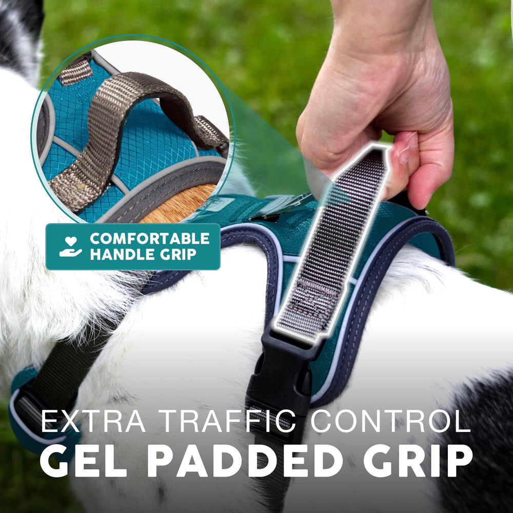 Adjustable straps on Embark Pets Adventure Harness for a precise fit