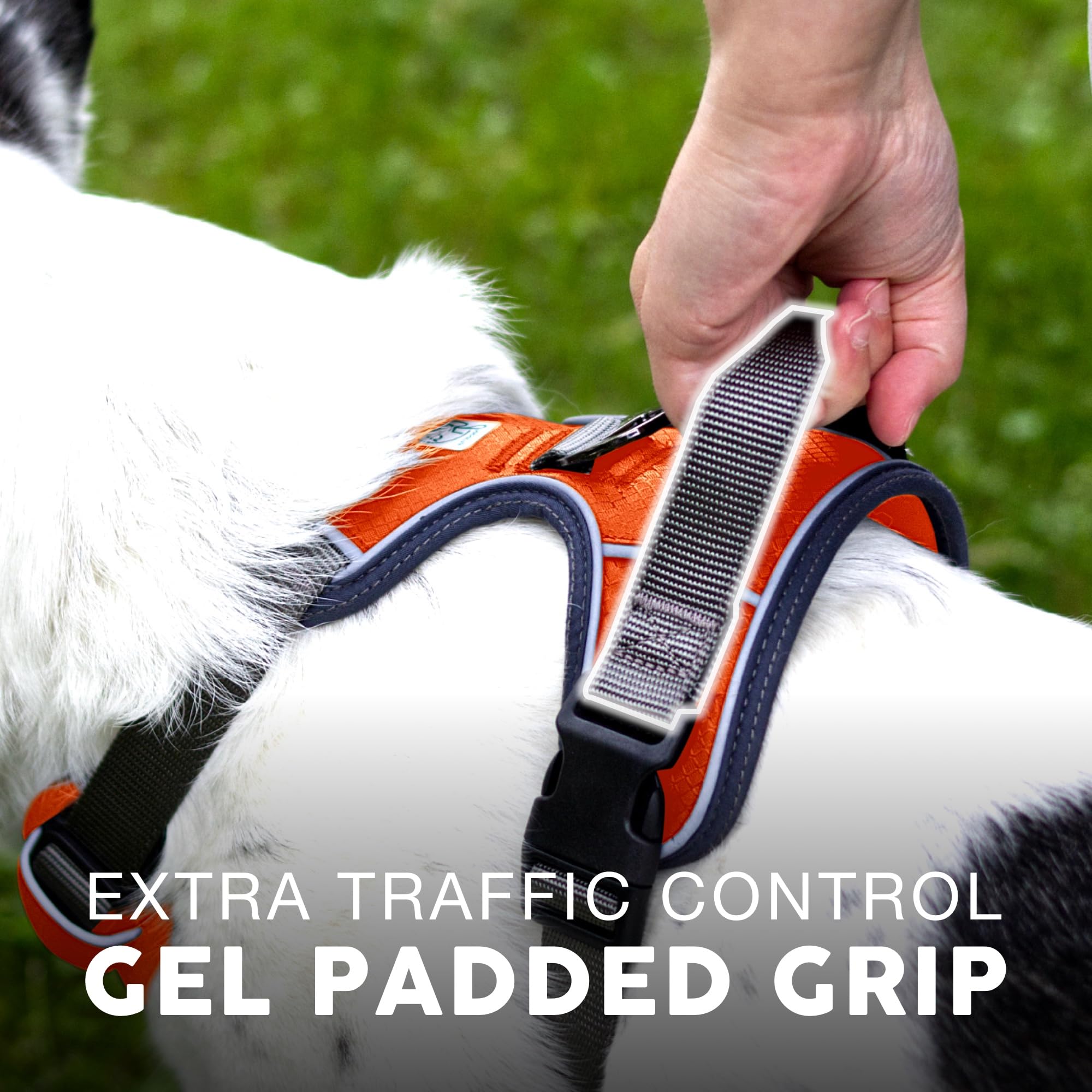 Embark Pets Adventure Harness breathable padding keeps dogs comfortable