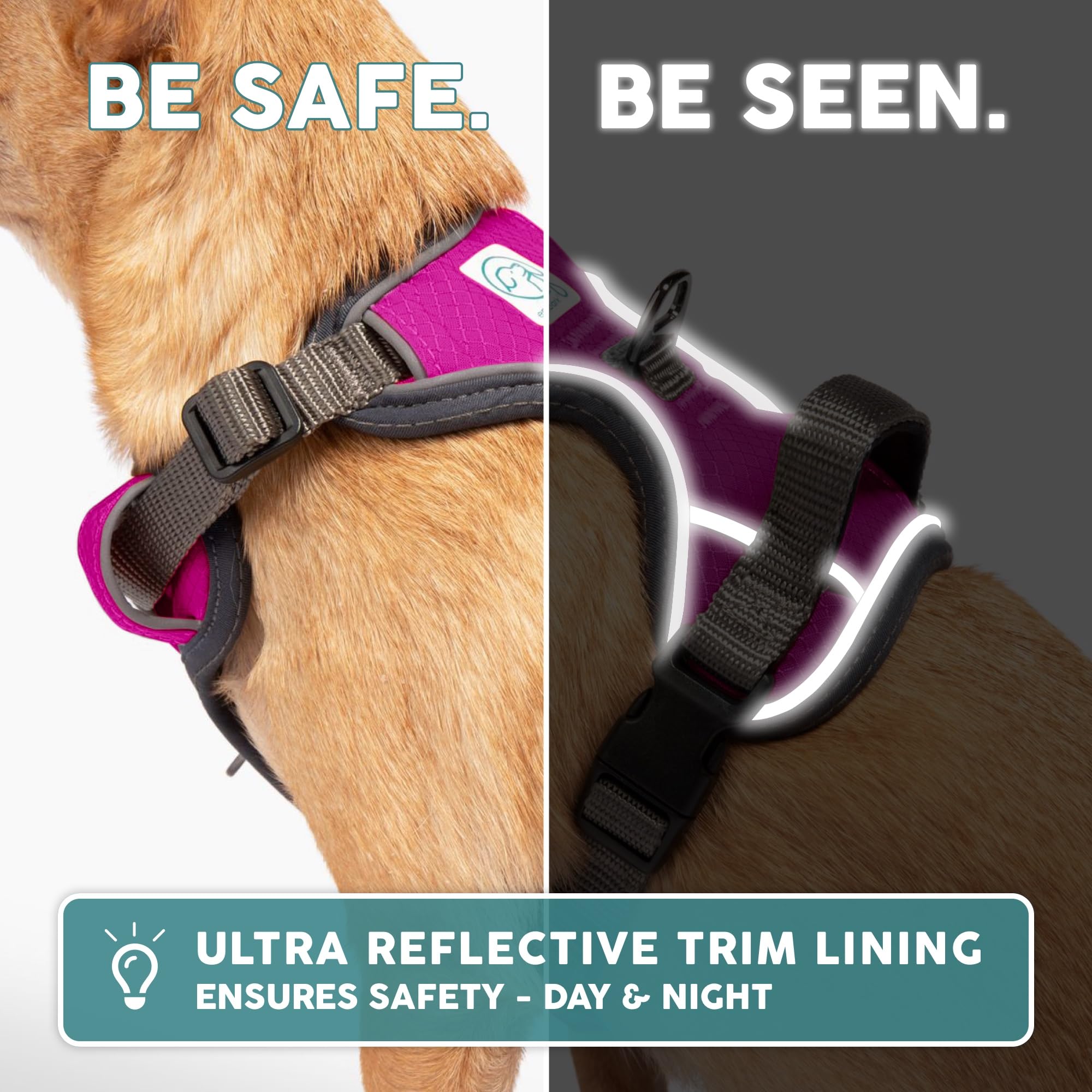 Embark Pets harness with front and back attachments offers versatile control.