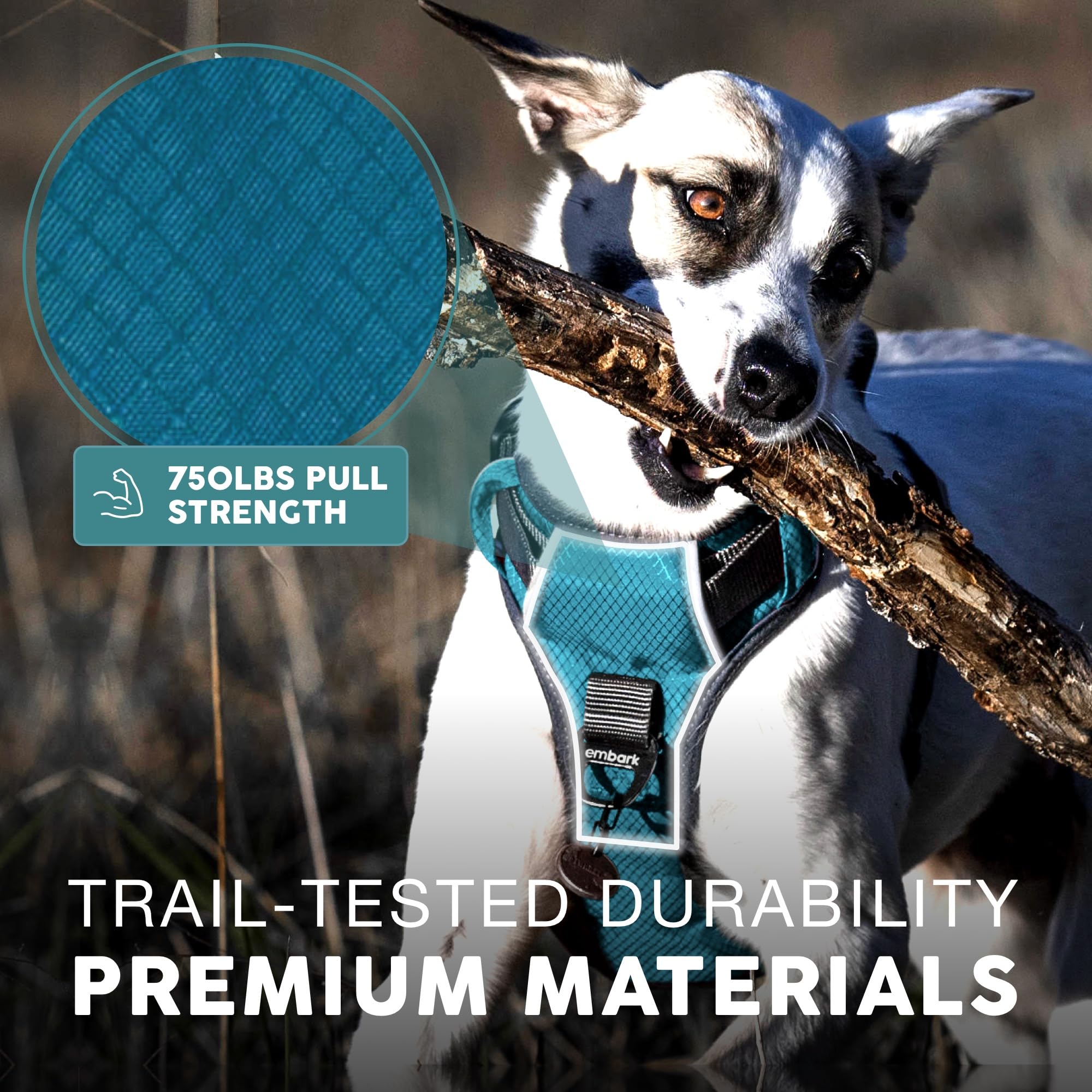 Front and back leash attachments on Embark Pets Adventure Harness for versatile use