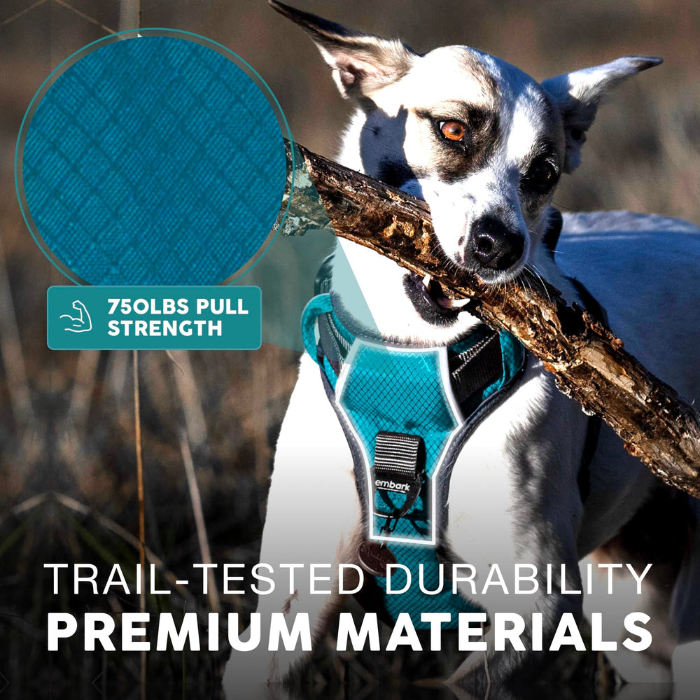 Front and back leash attachments on Embark Pets Adventure Harness for versatile use