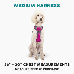 Embark Pets gel-lined handle provides secure grip for quick control.