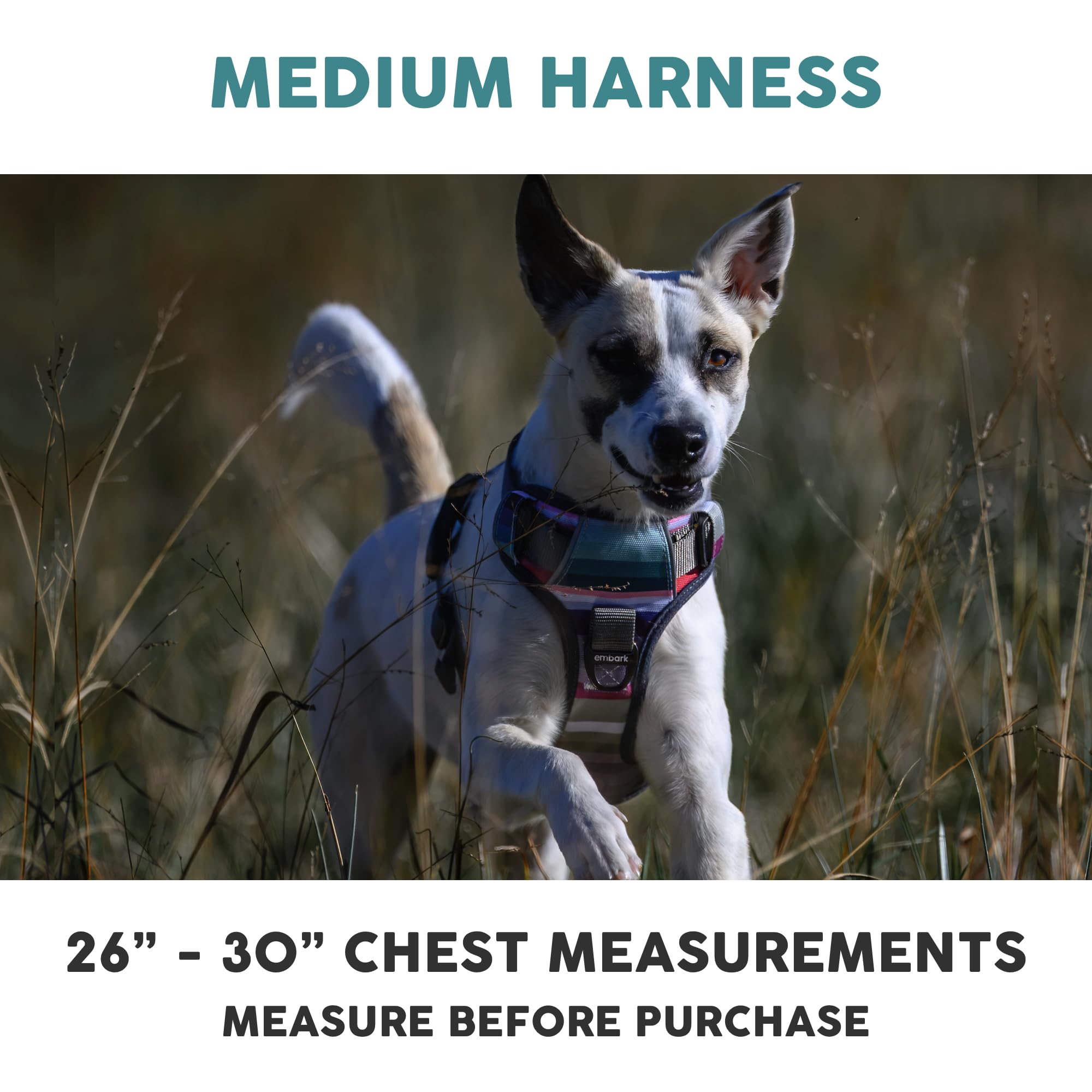 Embark Pets Adventure Harness gel-lined handle enhances control during outdoor walks