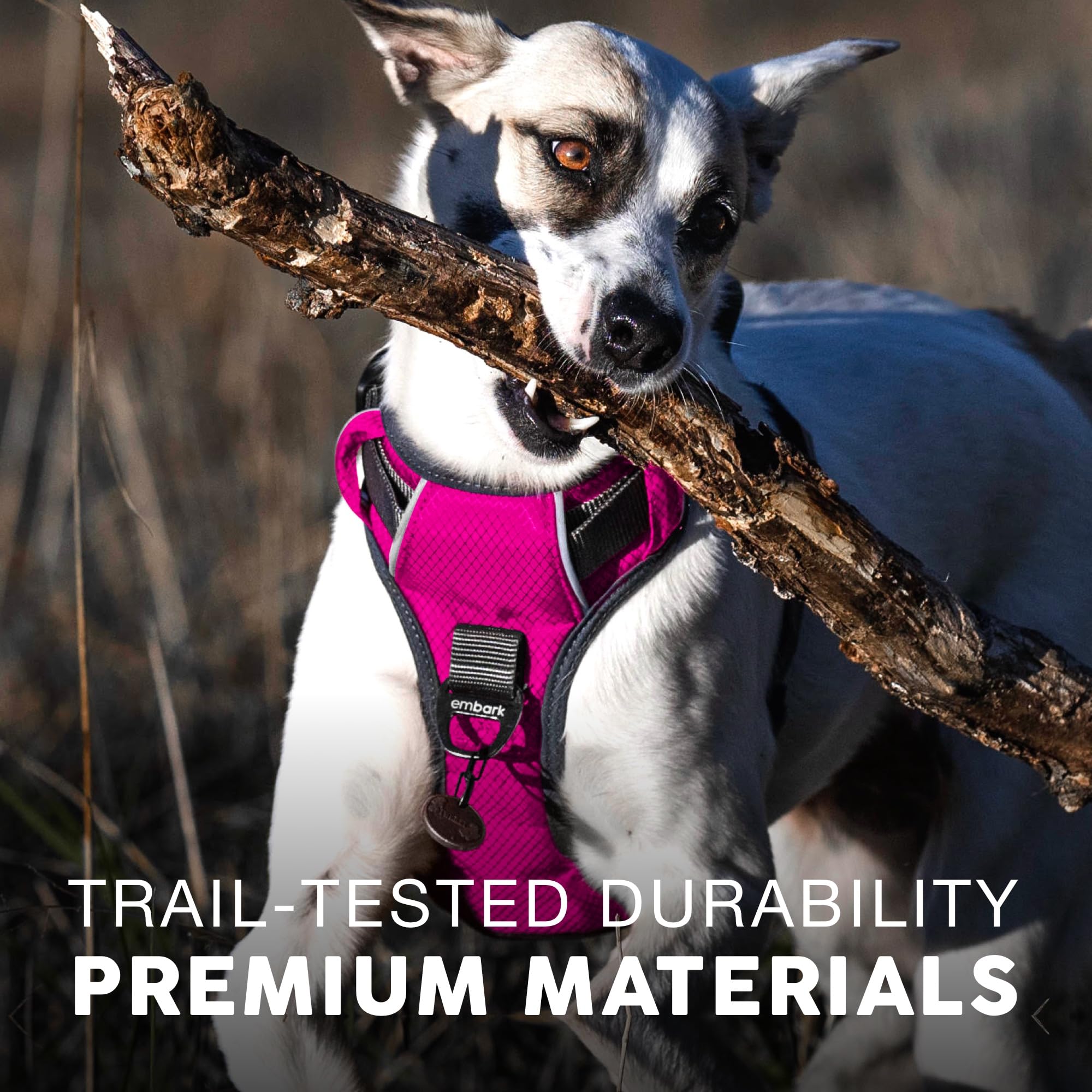Embark Pets heavy-duty nylon construction withstands daily use and pulls.