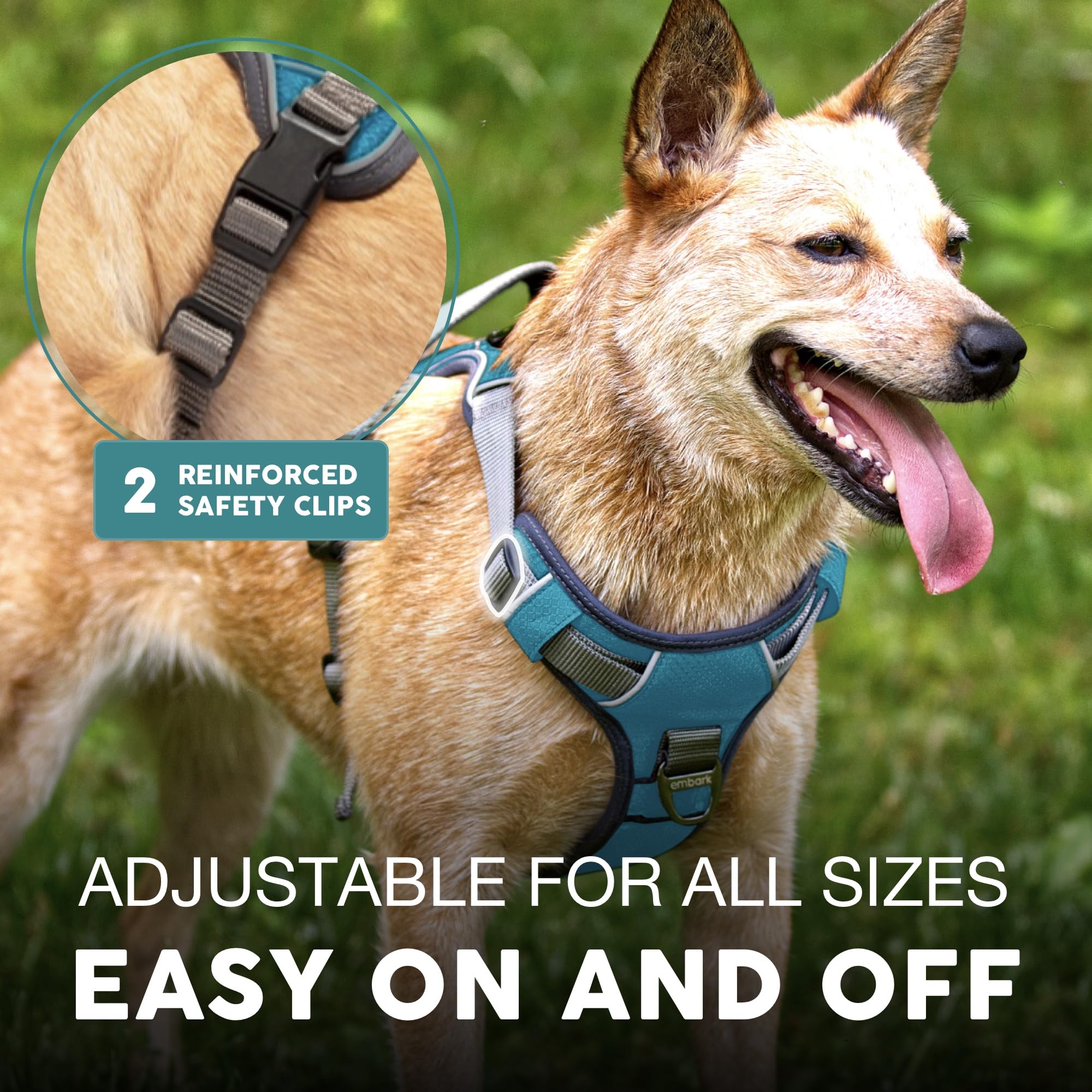 Heavy-duty Oxford and military nylon on Embark Pets Adventure Harness for durability