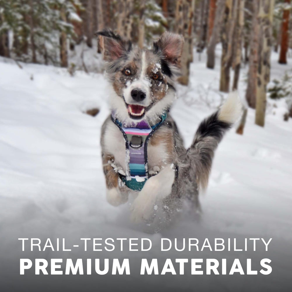 Embark Pets Adventure Harness military-grade nylon for durable daily use