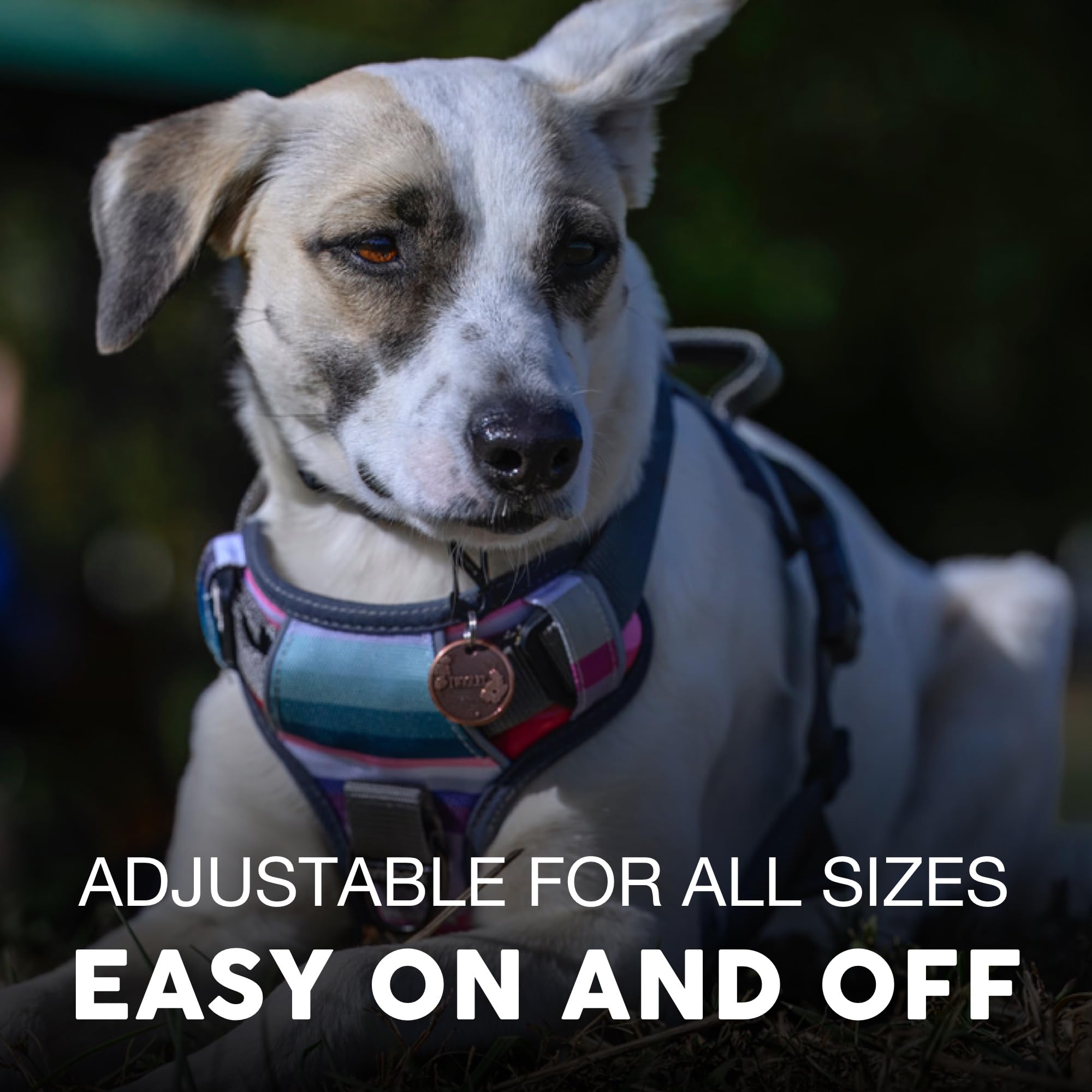 Embark Pets Adventure Harness no-pull front-d-ring promotes gentler training