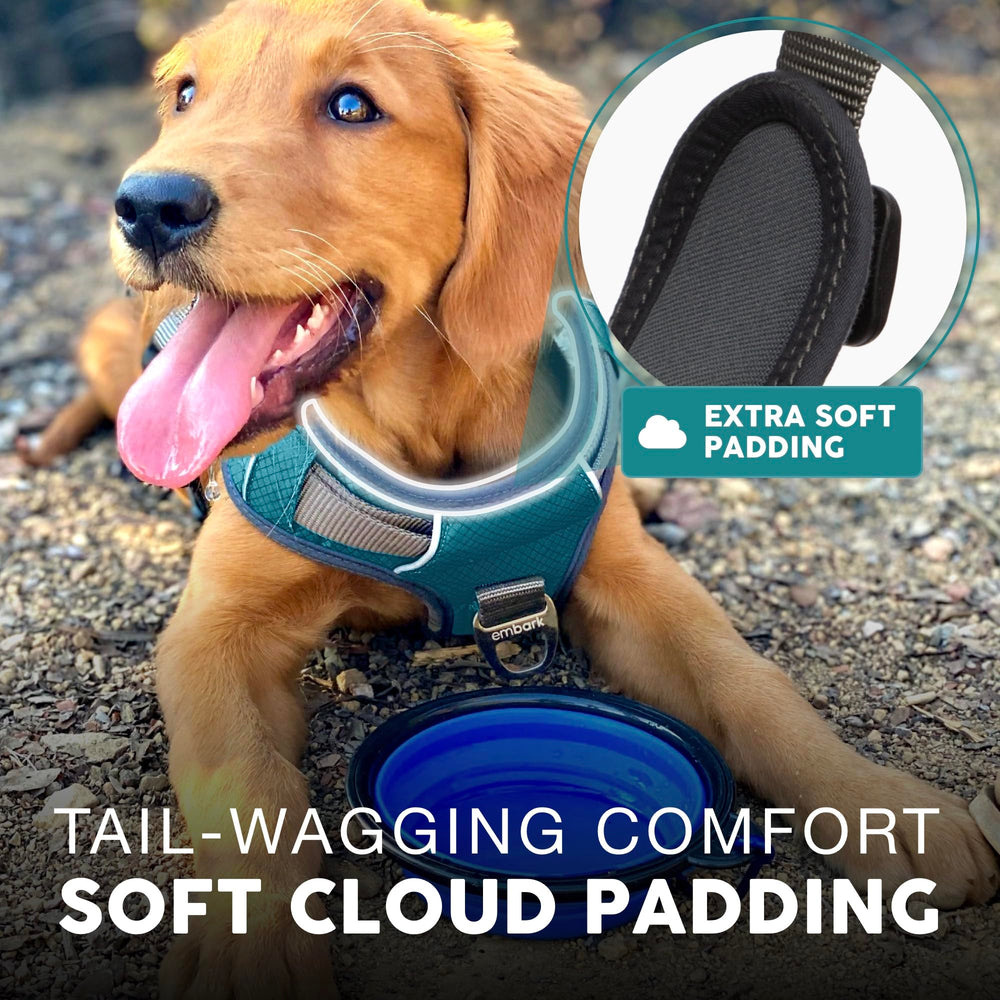 Embark Pets Adventure Harness fabric and padding for chest protection and comfort