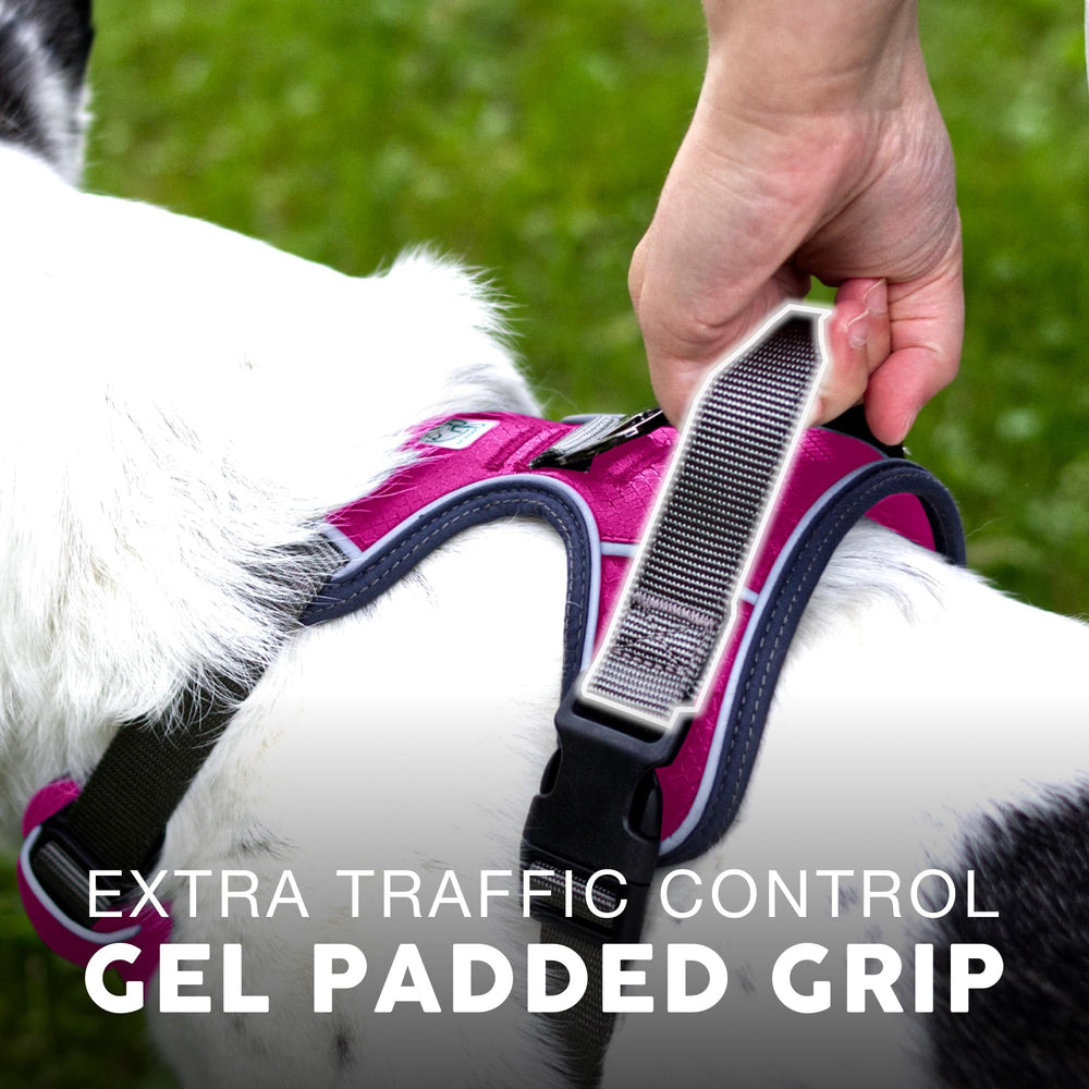 Embark Pets padding reduces rubbing during long walks.