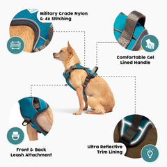 Reflective trim on Embark Pets Adventure Harness seen in day and night for safety