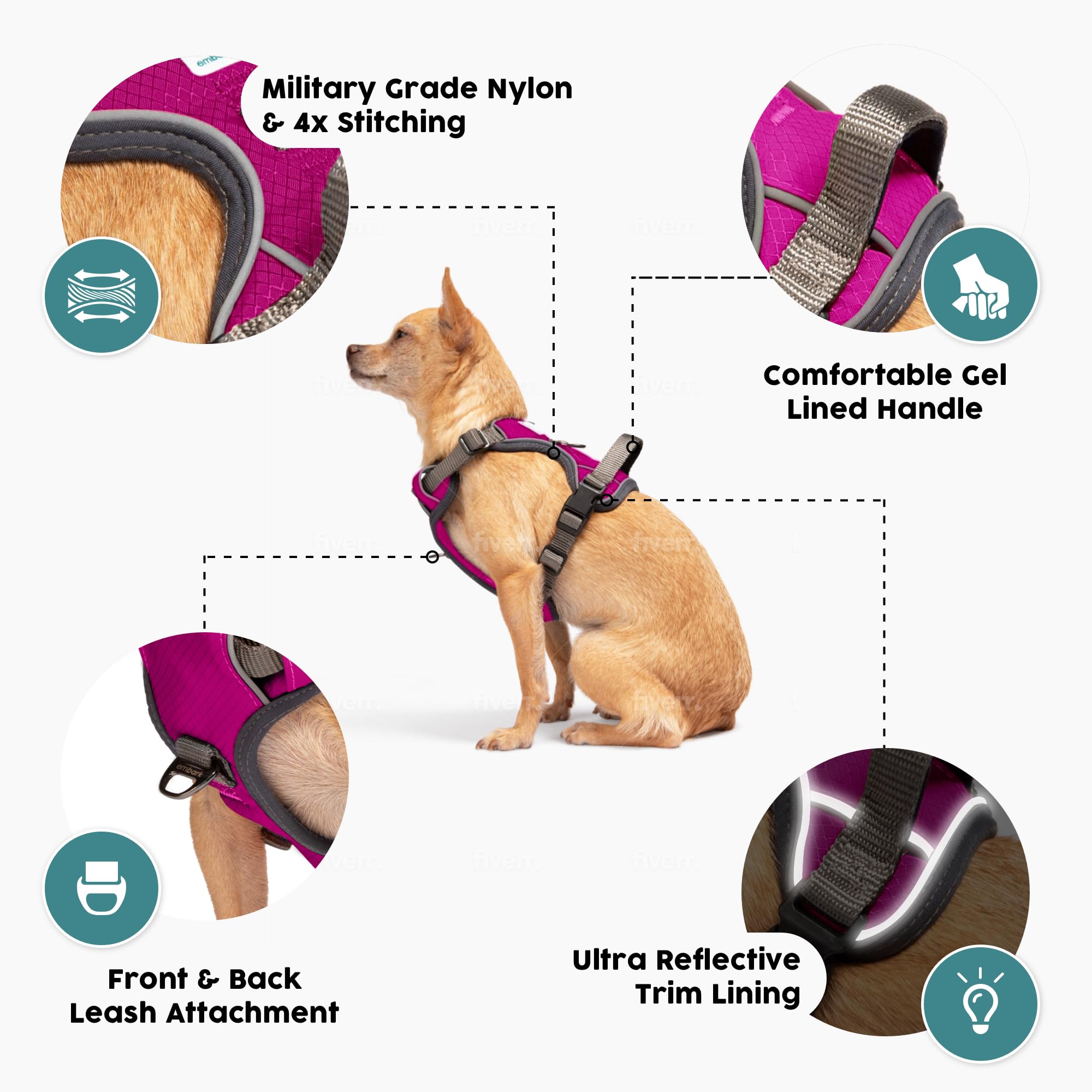 Embark Pets Adventure Harness reflective trim for improved night visibility.