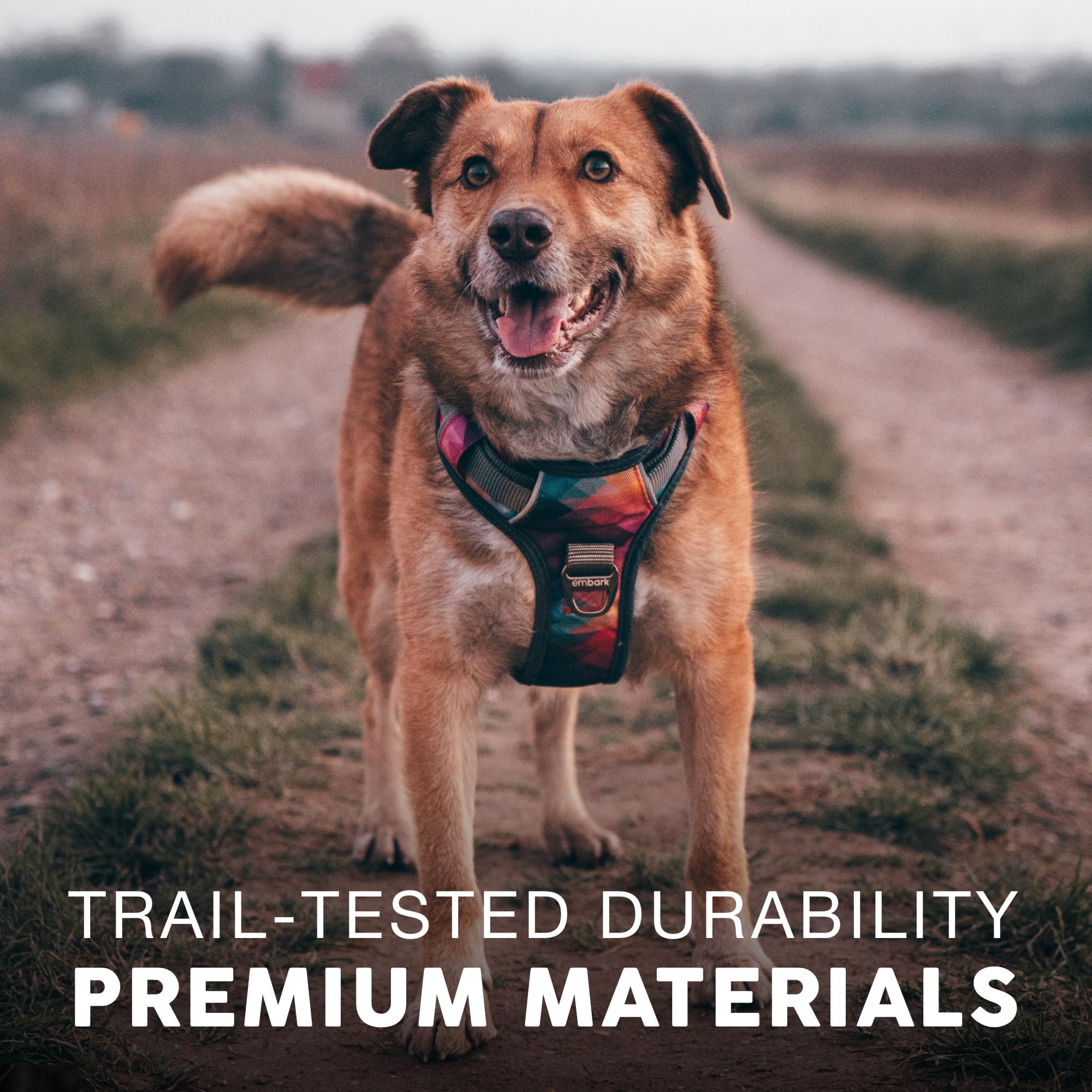 Embark Pets Adventure No Pull Harness both front and back leash attachments
