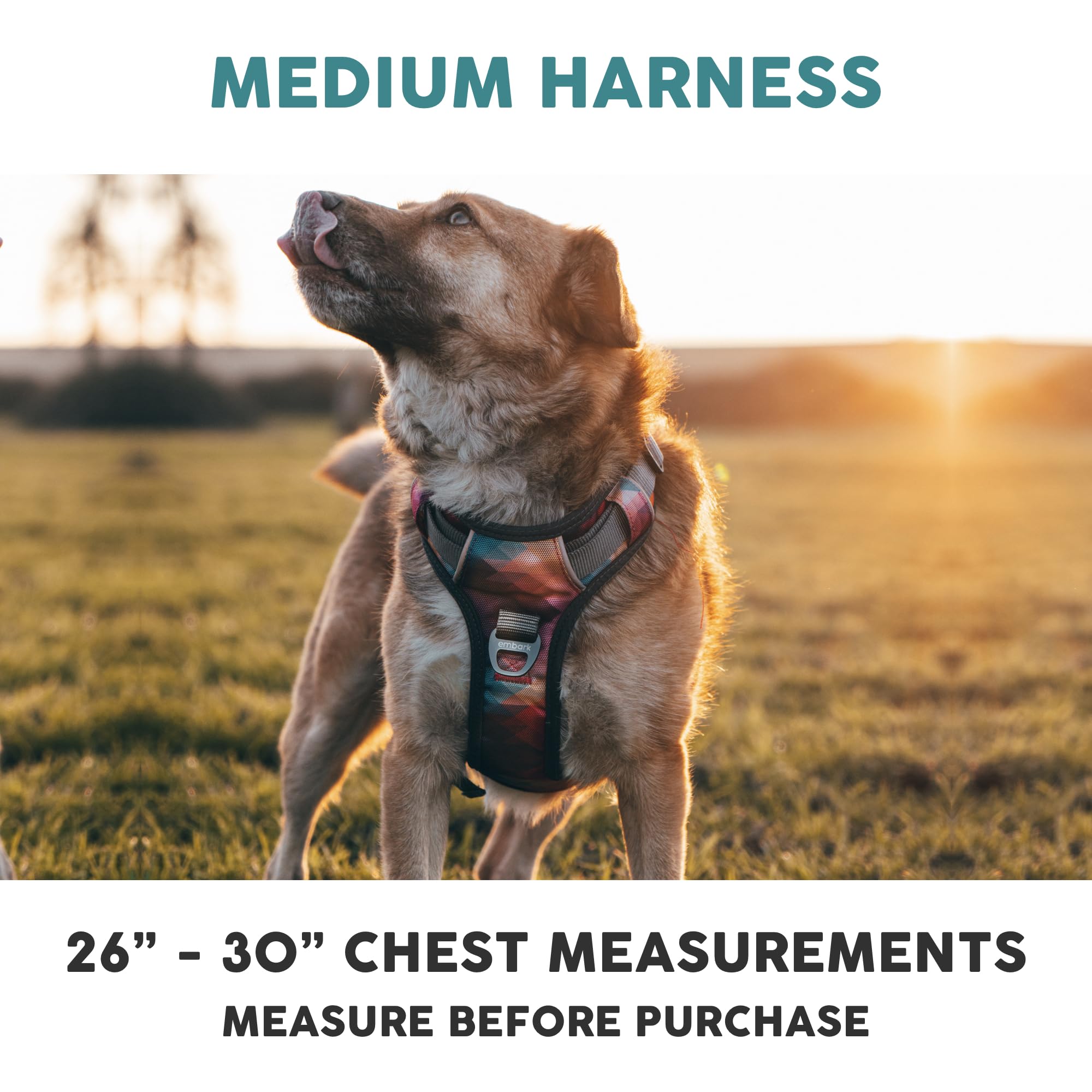 Embark Pets Adventure No Pull Harness reflective trim improves visibility during night walks