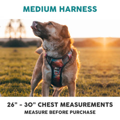 Embark Pets Adventure No Pull Harness reflective trim improves visibility during night walks