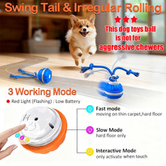 emeqzoa P06 blue fast-mode display demonstrates quick motion for energetic dogs.