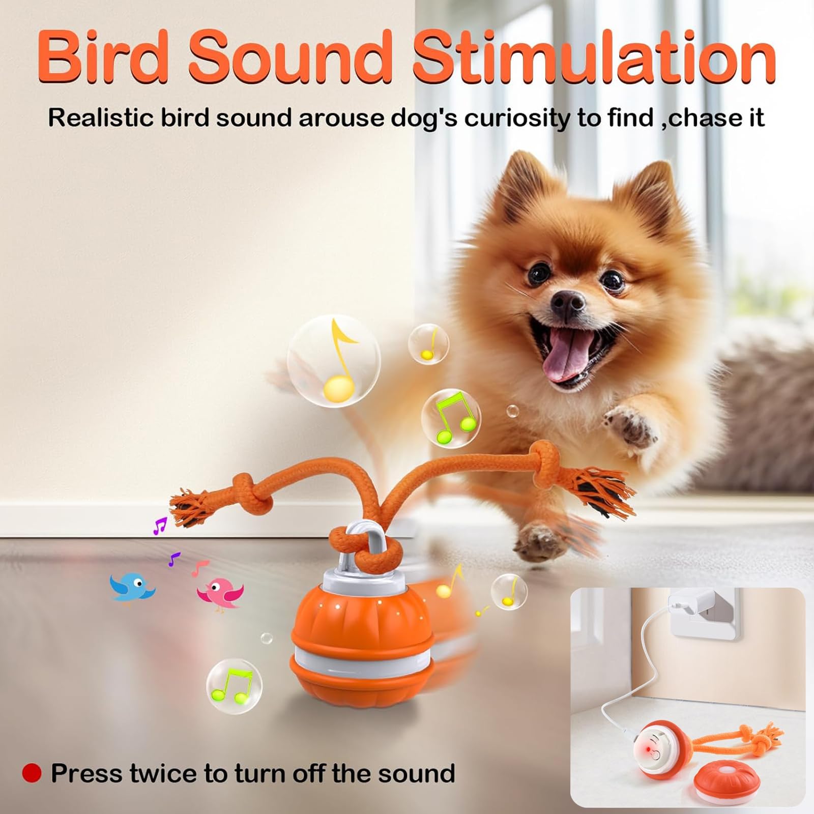 emeqzoa P06 interactive ball on carpet shows reliable indoor traction.