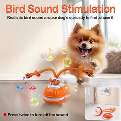 emeqzoa P06 interactive ball on carpet shows reliable indoor traction.