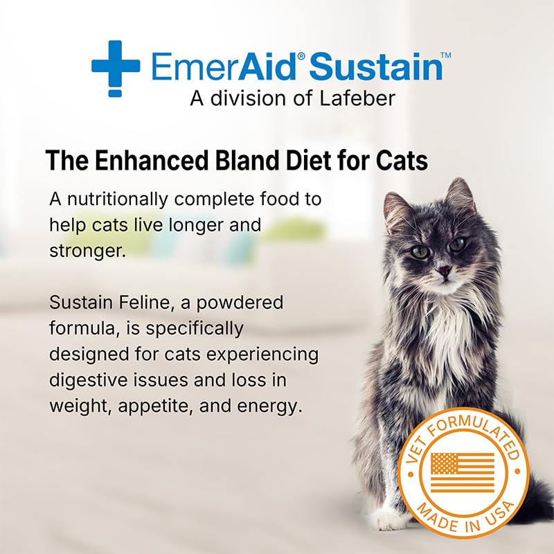 EMERAID Sustain serving bowl with feline recovery food ready to serve for comfort