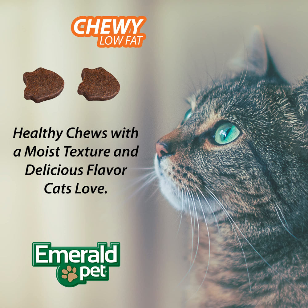 Emerald Pet Feline Health Chews held by cat owner illustrating easy feeding.
