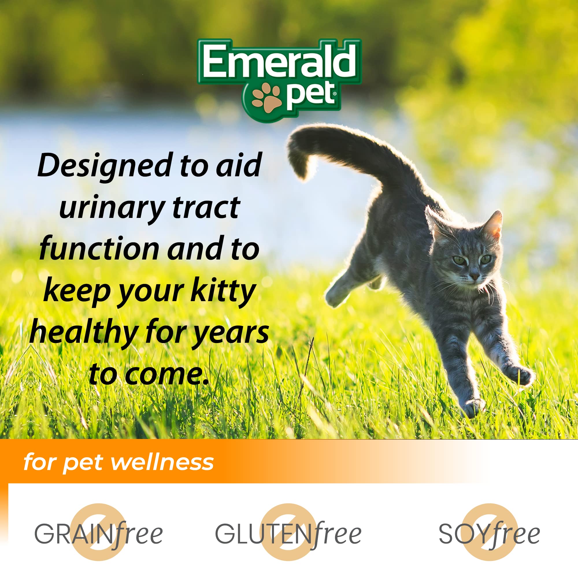 Emerald Pet Feline Health Chews cat enjoying treat moment signaling a tasty urinary-care treat