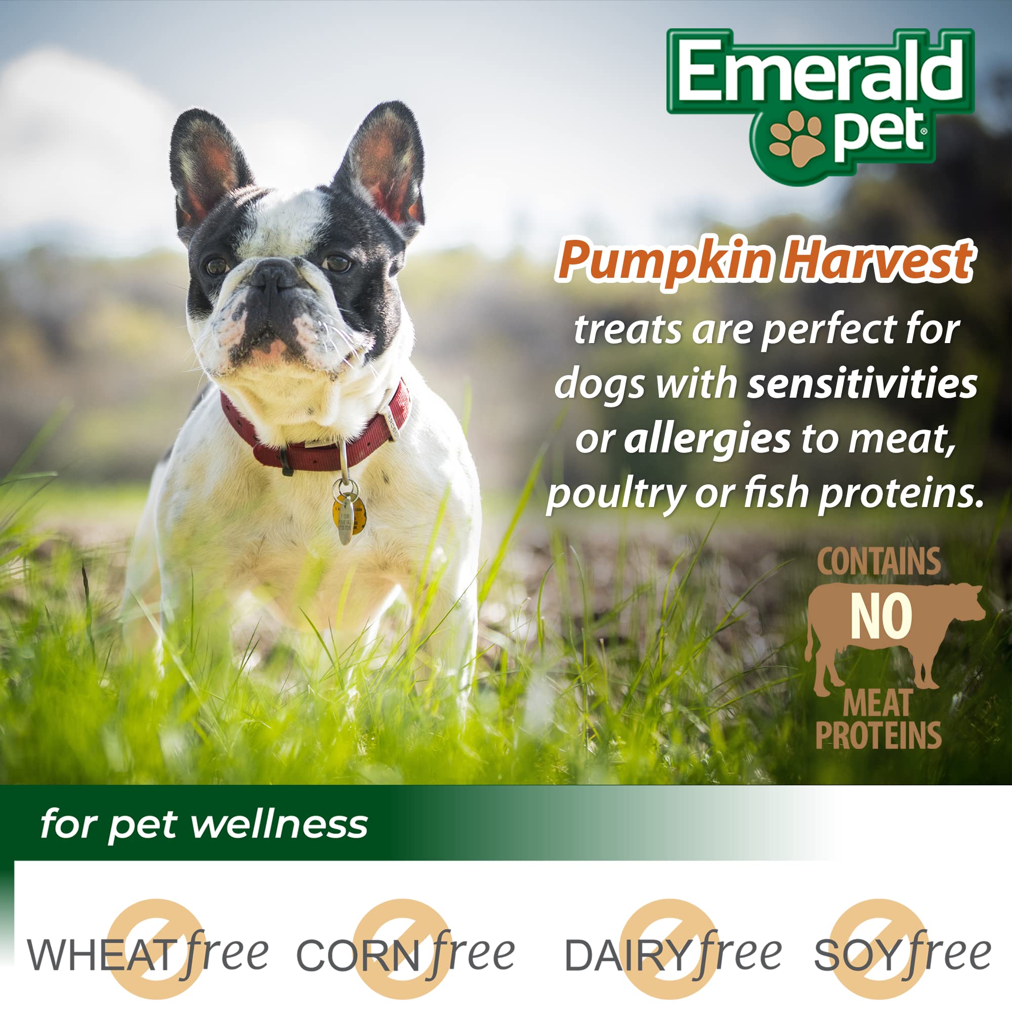 Emerald Pet dog enjoying treat during play, a happy training reward moment.