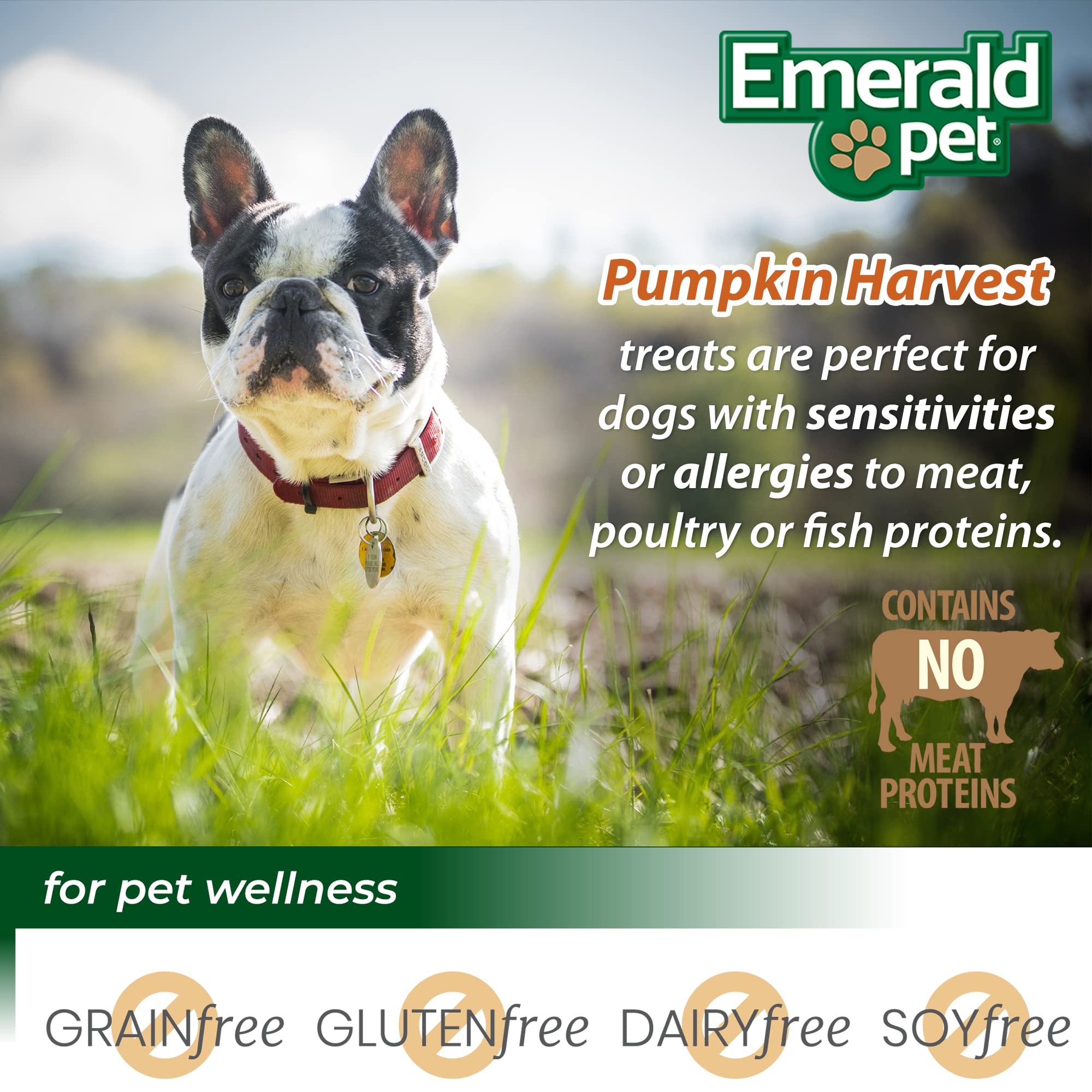 Recette myrtilles Emerald Pet Pumpkin Harvest, parfaite pour récompenses quotidiennes